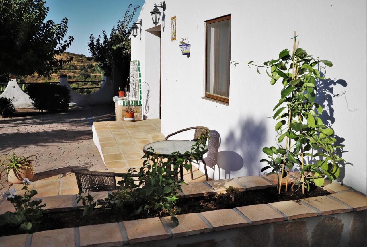 Finca La Meica Bed&Breakfast Casabermeja Exterior foto